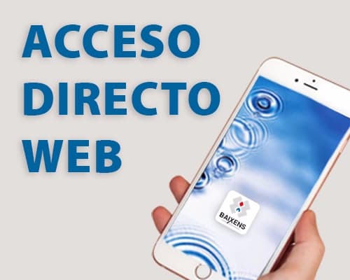 Icono acceso directo Baixens