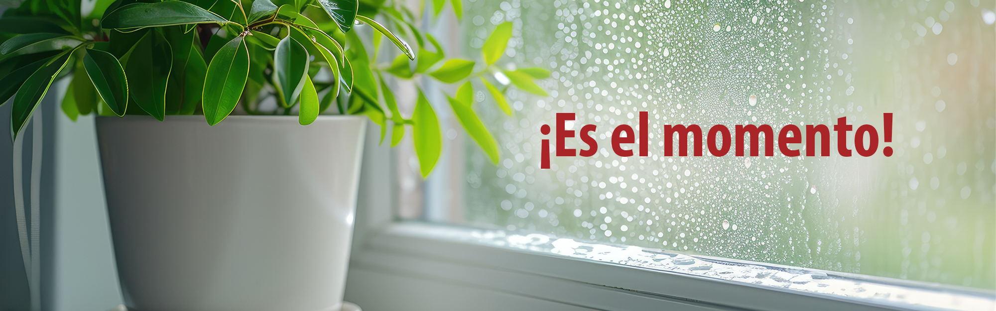 Anticondensación - Noticia cabecera