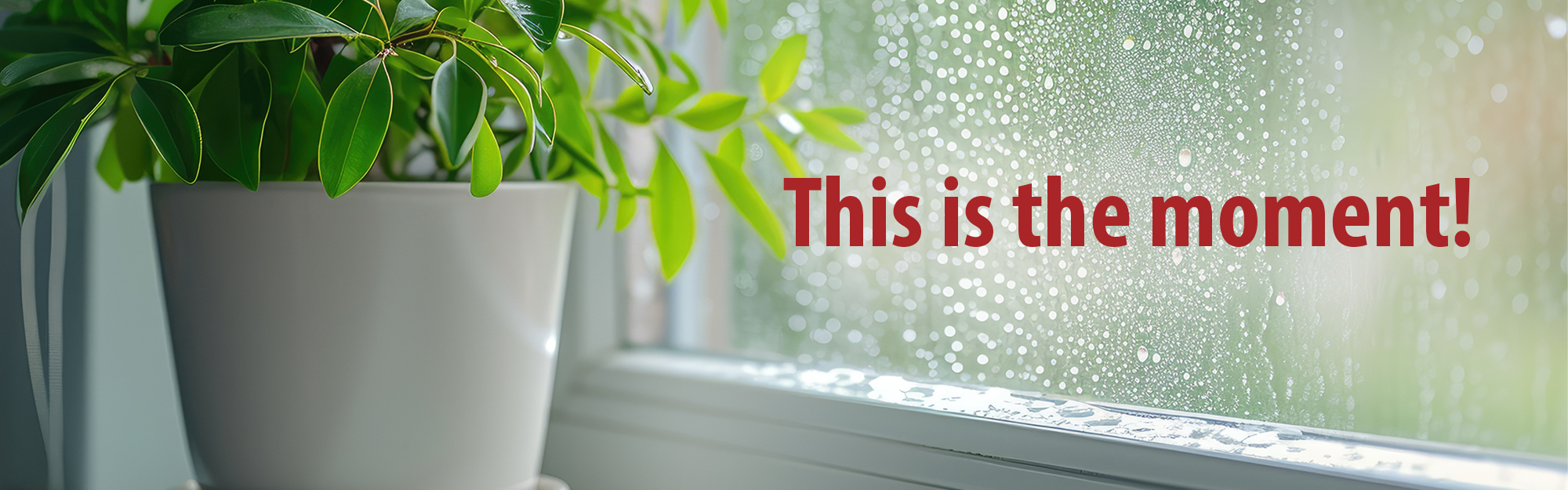 Anticondensación - Noticia cabecera