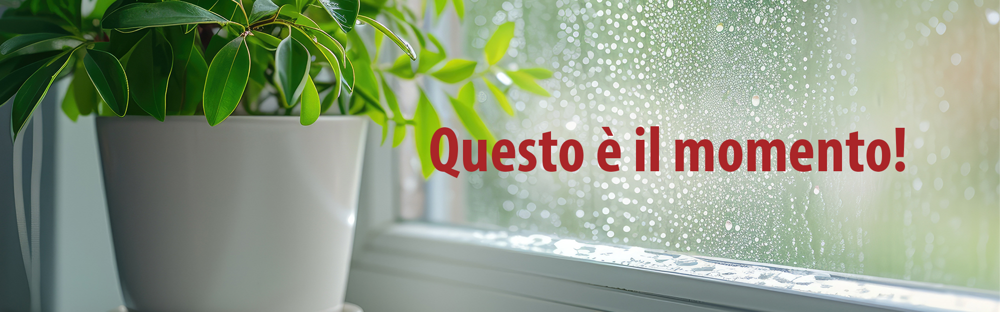 Anticondensación - Noticia cabecera