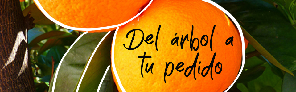 Campaña naranja 2019