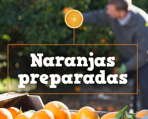 Campaña naranjas 2022