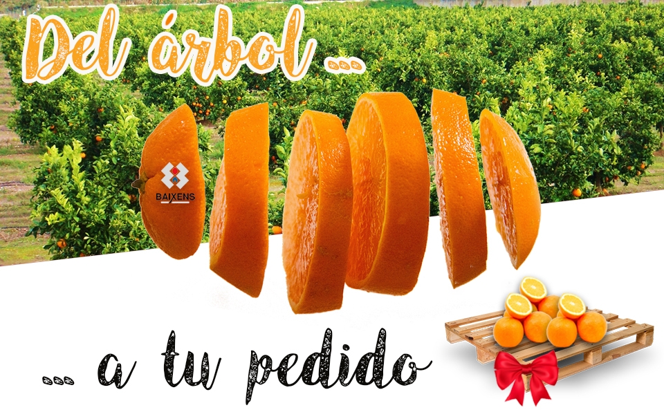 Campaña naranjas 2018