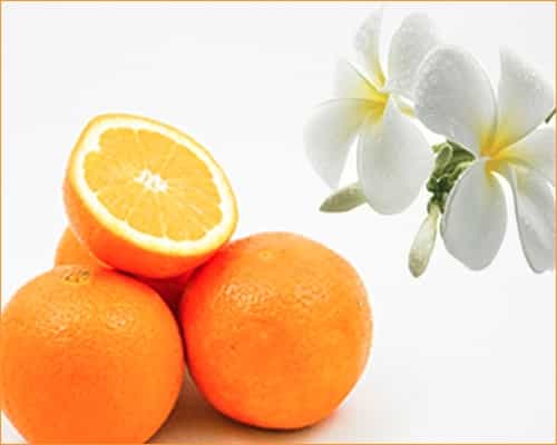 Campaña promocional naranjas Navidad