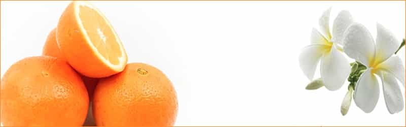 Campaña promocional naranjas Navidad