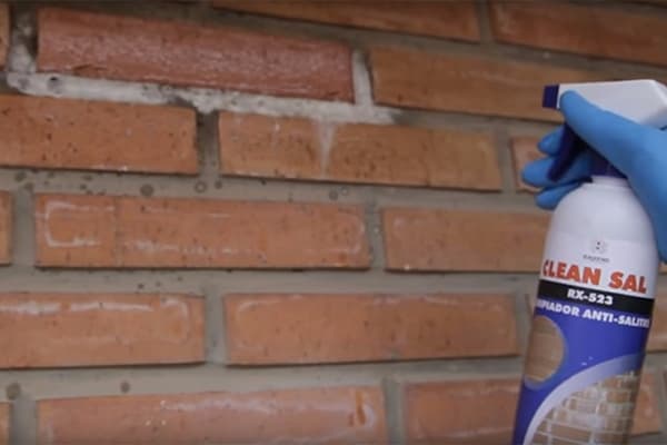 Eliminar y limpiar salitre Baixens