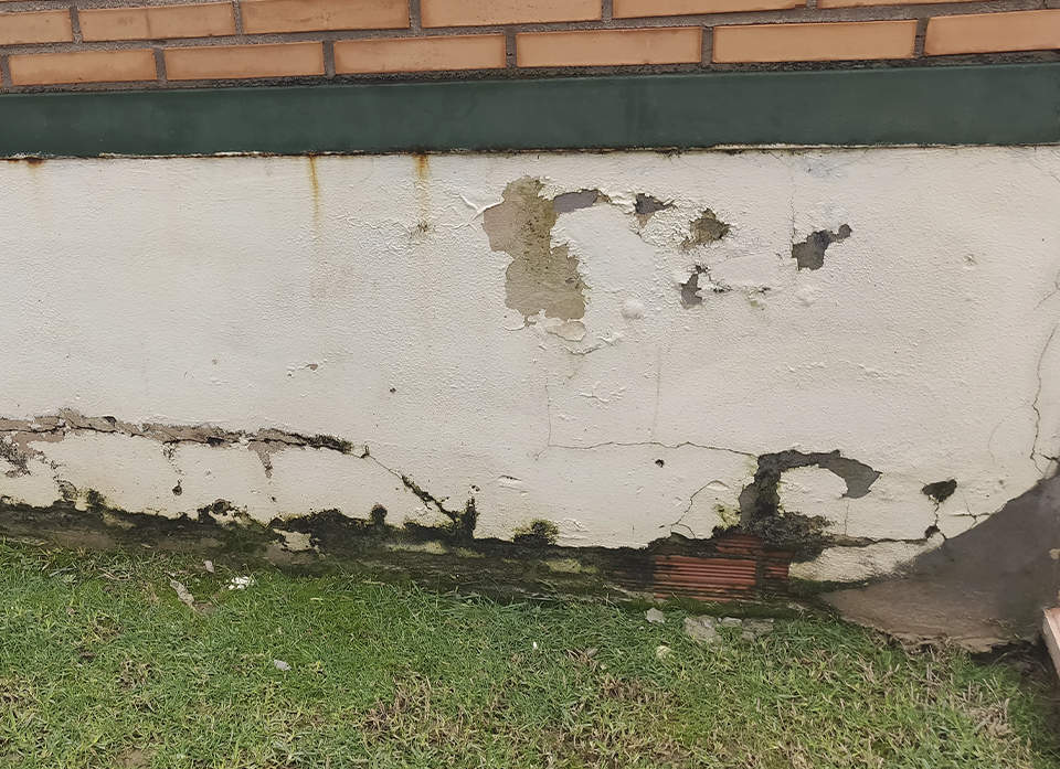Humedad por capilaridad 1