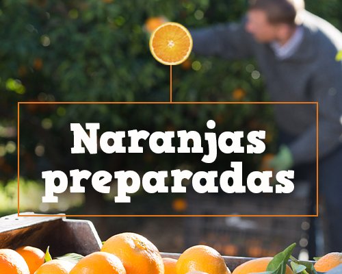 Campaña naranjas 2022