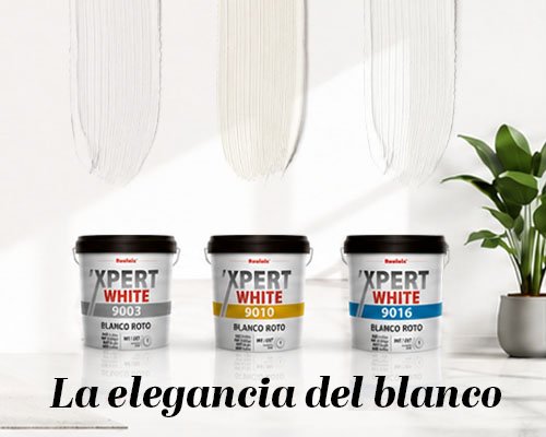 Noticia 'Xpert White