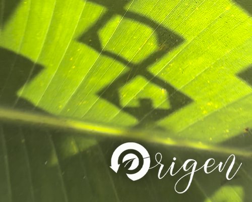 Origen - 70 productos