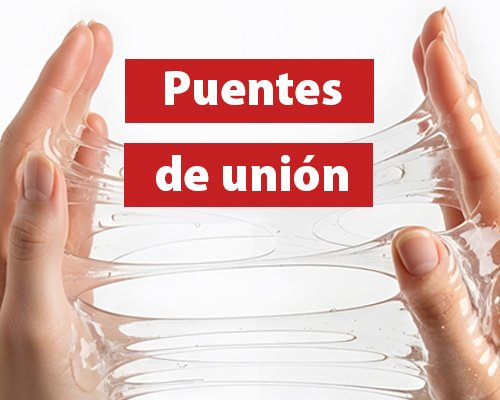 Puentes de unión