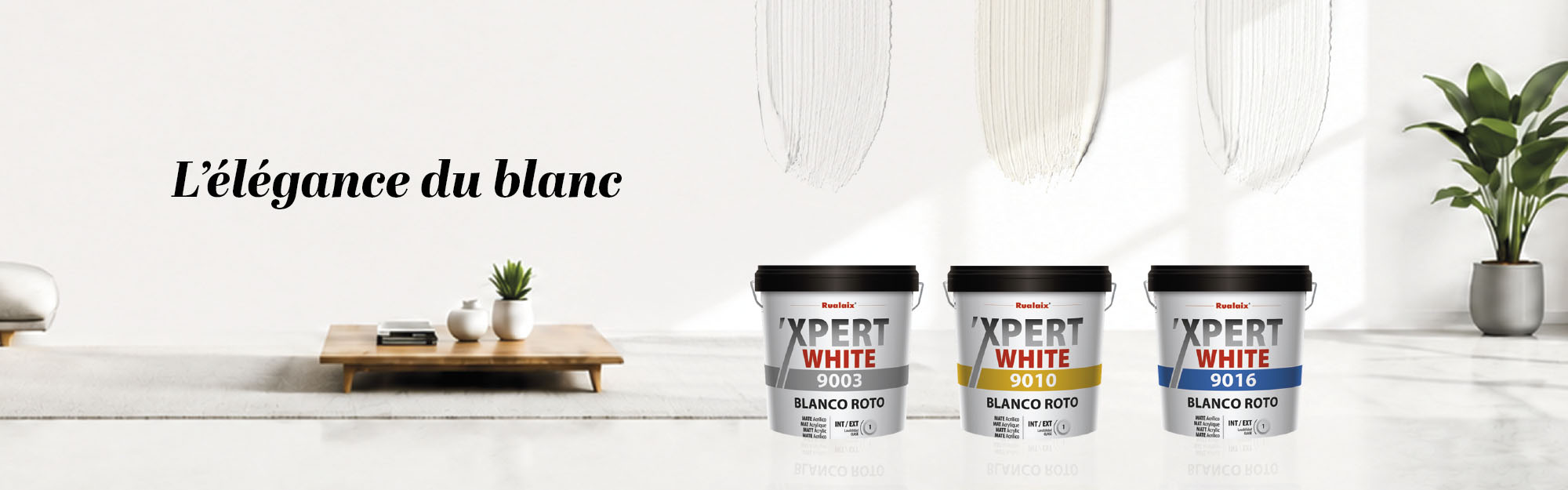 Noticia 'Xpert White