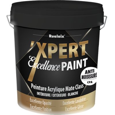‘XPERT EXCELLENCE PAINT MATE CPA
