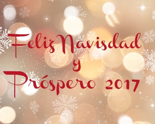 Promoción Navidad 2016