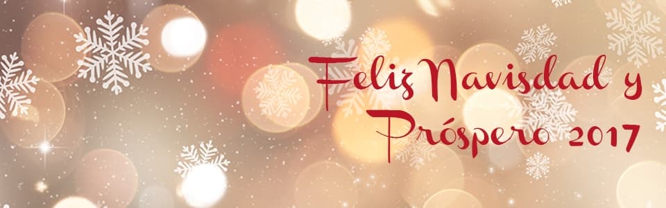 Promoción Navidad 2016