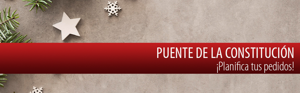 Puente Constitución 2021