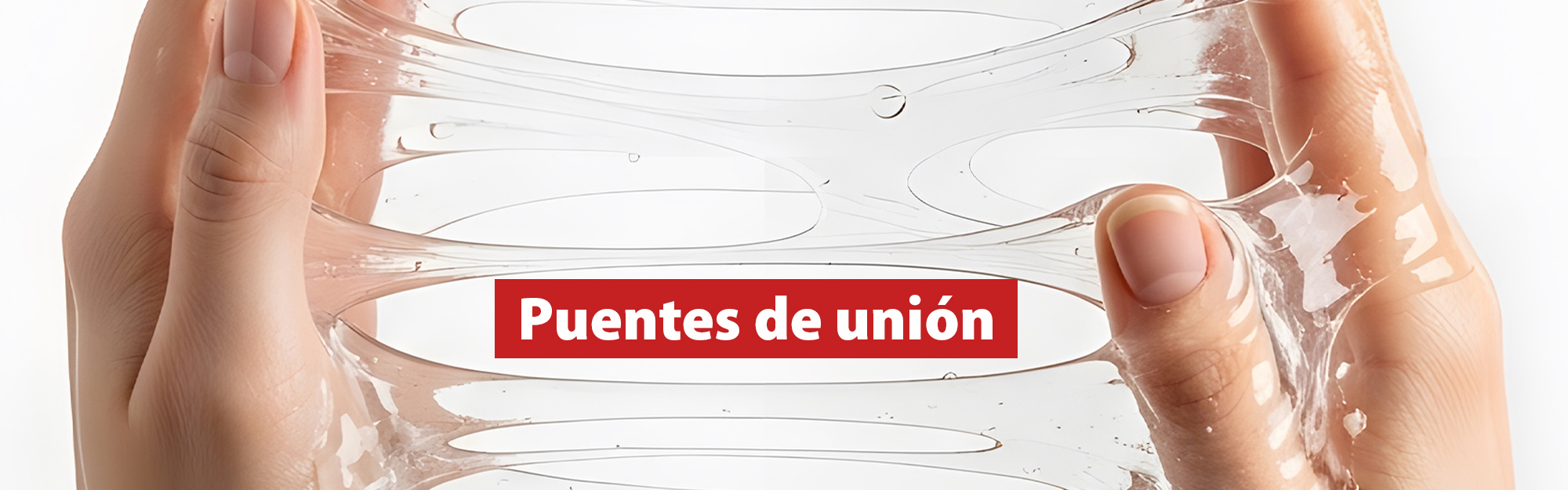Puentes de unión