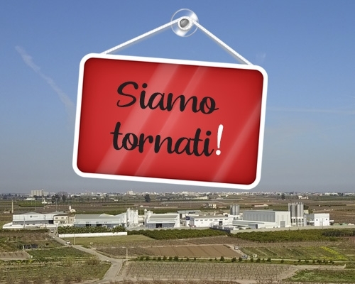 siamo tornati 2019