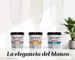 Noticia 'Xpert White