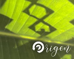 Origen - 70 productos