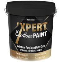‘XPERT EXCELLENCE PAINT MATE CLASS