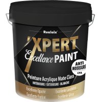 ‘XPERT EXCELLENCE PAINT MATE CPA